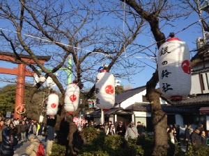 鶴岡八幡宮の一の鳥居を背にした銀の鈴社の提灯2014年1月1日